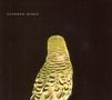 Andrew Bird: Armchair Apocrypha, CD