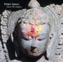 Peter Green: Blues For Dhyana (Collection), CD