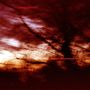 Colour Haze: Ewige Blumenkraft, CD, CD