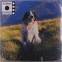 S8jfou: Dognip, LP, LP