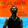 David Walters: Soleil Kréyol (180g), 2 LPs