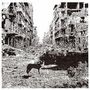 Vox Low: Keep On Falling, CD
