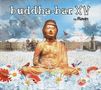 Buddha Bar XV By Ravin, 2 CDs