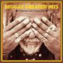 Reggae Greatest Hits (remastered), 2 LPs
