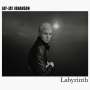 Jay-Jay Johanson: Labyrinth, LP
