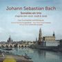 "Johann Sebastian Bach. Sonates en trio. Les Curiosités esthétiques. Ansicht der Stadtsilhouette an einem Fluss."