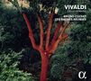 Antonio Vivaldi: Sonaten für Cello & Bc RV 39,40,42-44,46, CD
