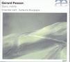 Gerard Pesson: Blanc merite für Ensemble, CD