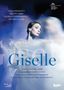 Holländisches Nationalballett - Giselle (Adolphe Adam), DVD