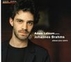 Johannes Brahms (1833-1897): Klavierwerke, CD, CD