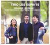 Johannes Brahms: Klaviertrio Nr.1 op.8, CD