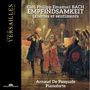 Carl Philipp Emanuel Bach, Empfindsamkeit. Illustration mit Musikern in einem reich dekorierten Raum, historisch gekleidet.
