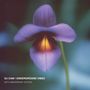 DJ CAM / UNDERGROUND VIBES, 30TH ANNIVERSARY EDITION. Eine violette Blume, Zentrum leuchtet in Orange., LP