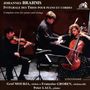 Johannes Brahms: Klaviertrios Nr.1-3, CD,CD