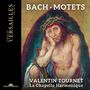 Johann Sebastian Bach (1685-1750): Motetten BWV 225-230, CD