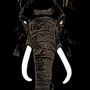 Palm Unit: Don't Buy Ivory Anymore!, LP