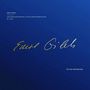 : Emil Gilels - The Unreleased Recitals at the Concertgebouw 1976 (180g / 33rpm), LP,LP