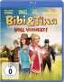 Detlev Buck: Bibi & Tina - Voll verhext (Blu-ray), BR