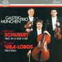 Heitor Villa-Lobos (1887-1959): Streichtrio (1945), CD