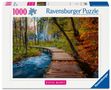 Ravensburger Puzzle 12001764 - Herbstlicher Waldweg, Beautiful Walkways Collection, 1000 Teile Foto-Puzzle für Naturliebhaber und Wanderfreunde ab 14 Jahren, Spiele