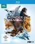 Clare Kingston: The Wonder of Animals: Tierische Überlebenskünstler (Blu-ray), BR,BR