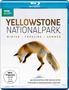 Yellowstone Nationalpark: Winter - Frühling - Sommer (Blu-ray), Blu-ray Disc