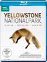 : Yellowstone Nationalpark: Winter - Frühling - Sommer (Blu-ray), BR