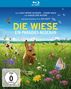 Die Wiese - Ein Paradies nebenan (Blu-ray), Blu-ray Disc