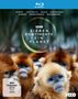 : Sieben Kontinente - Ein Planet (Blu-ray), BR,BR,BR