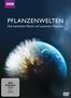 : Pflanzenwelten - Die geheime Macht auf unserem Planeten, DVD