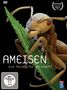 : Ameisen - Die heimliche Weltmacht, DVD