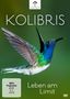 Kolibris - Leben am Limit, DVD