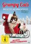 Tim Hill: Grumpy Cat's miesestes Weihnachtsfest ever, DVD