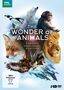 Clare Kingston: The Wonder of Animals: Tierische Überlebenskünstler, DVD,DVD
