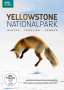Yellowstone Nationalpark: Winter - Frühling - Sommer, DVD