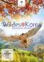 Wildes Korea, DVD