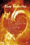 Ted Demme: Love Collection (Drei Liebesfilme in einer Box), DVD,DVD,DVD
