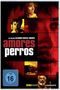 Amores Perros, DVD