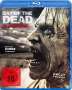 Pearry Reginald Teo: Day of the Dead - Bloodline (Blu-ray), BR