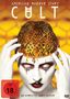 American Horror Story Staffel 7: Cult, 4 DVDs