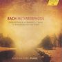 : Angelika Nebel - Bach-Transkriptionen, CD