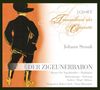 Johann Strauss II: Der Zigeunerbaron, 2 CDs