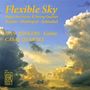 Han Jonkers - Flexible Sky (Musik für Gitarre & Streichquartett), CD