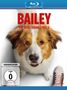 Gail Mancuso: Bailey - Ein Hund kehrt zurück (Blu-ray), BR