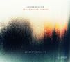 Jochen Neuffer & Tobias Becker Bigband: Augmented Reality, CD