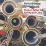 Violeta Dinescu: Kammermusik für Percussion, CD
