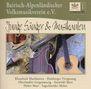 Junge Sänger & Musikant: Musiterkofferl 1-Bairis, CD, CD
