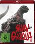 Hideaki Anno: Shin Godzilla (Blu-ray), BR