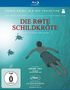 Michael Dudok de Wit: Die rote Schildkröte (Blu-ray), BR