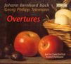 Johann Bernhard Bach: Ouvertüren D-Dur,e-moll,G-Dur,g-moll für Streicher & Bc, 2 CDs